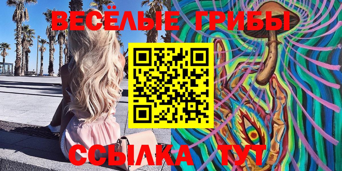 Менделеевск  Галлюциногенные грибы мицелий  Вход с VPN  Галлюциногенные грибы Cubensis 